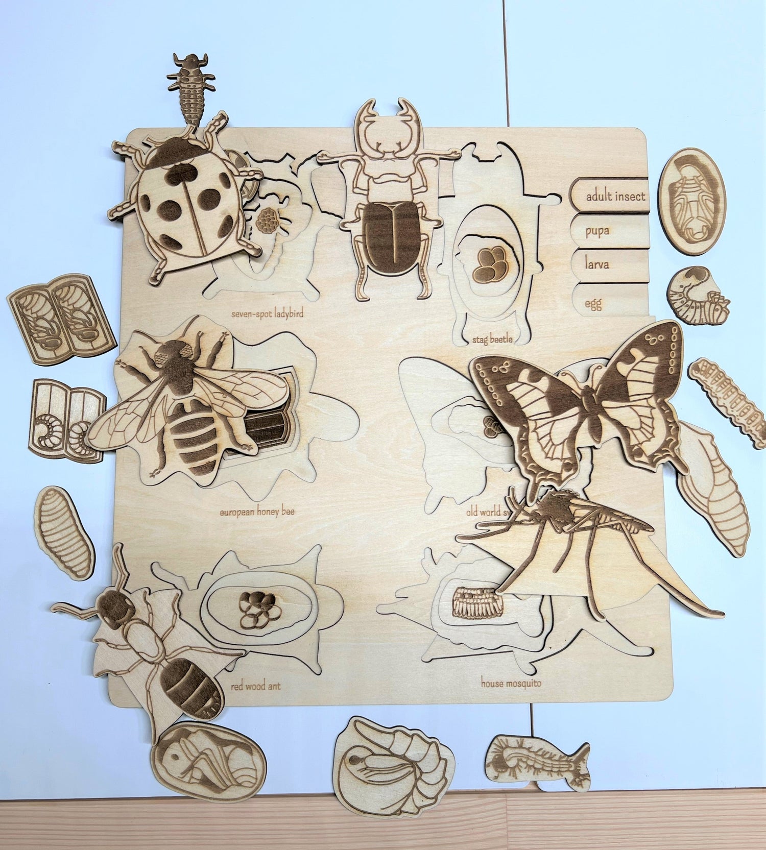 Educational Multi-Layered Wooden Puzzle