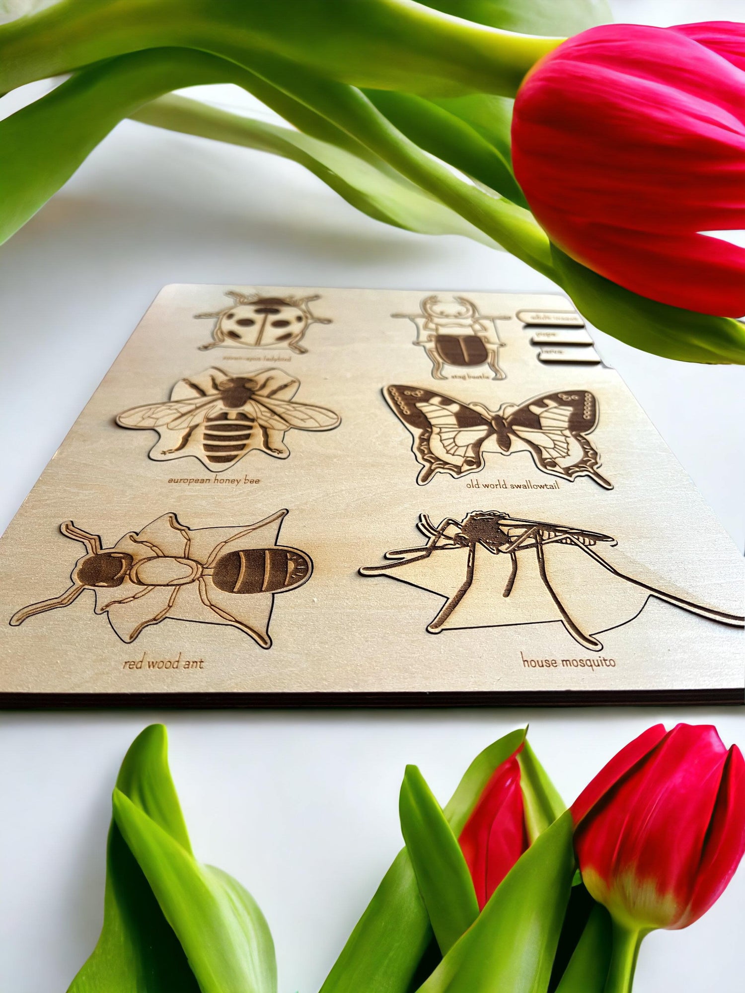 Educational Multi-Layered Wooden Puzzle