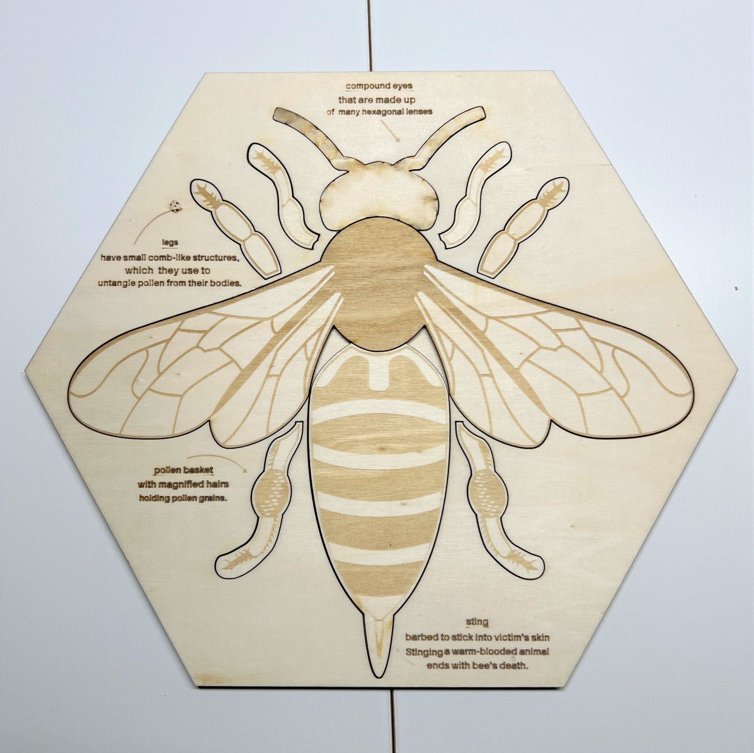 Educational Multi-Layered Wooden Puzzle