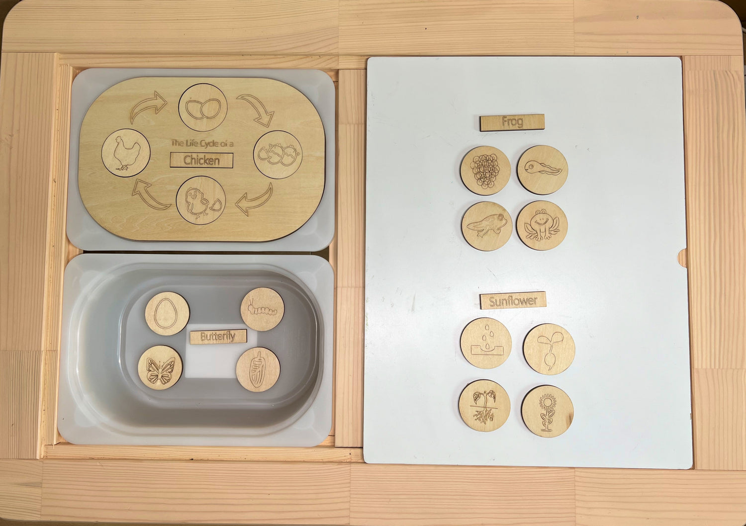 FLISAT Sensory Bin Insert Activity Board