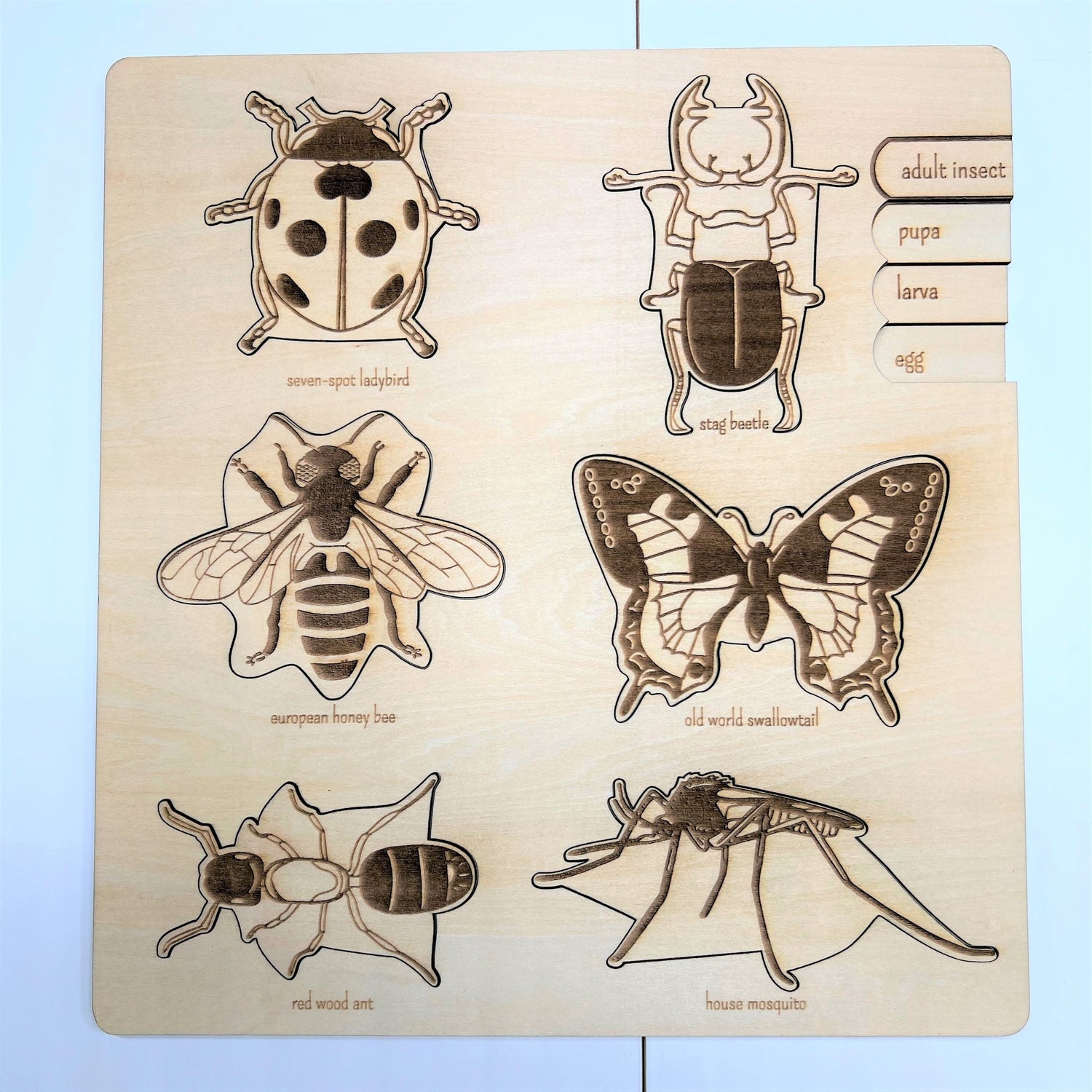 Educational Multi-Layered Wooden Puzzle