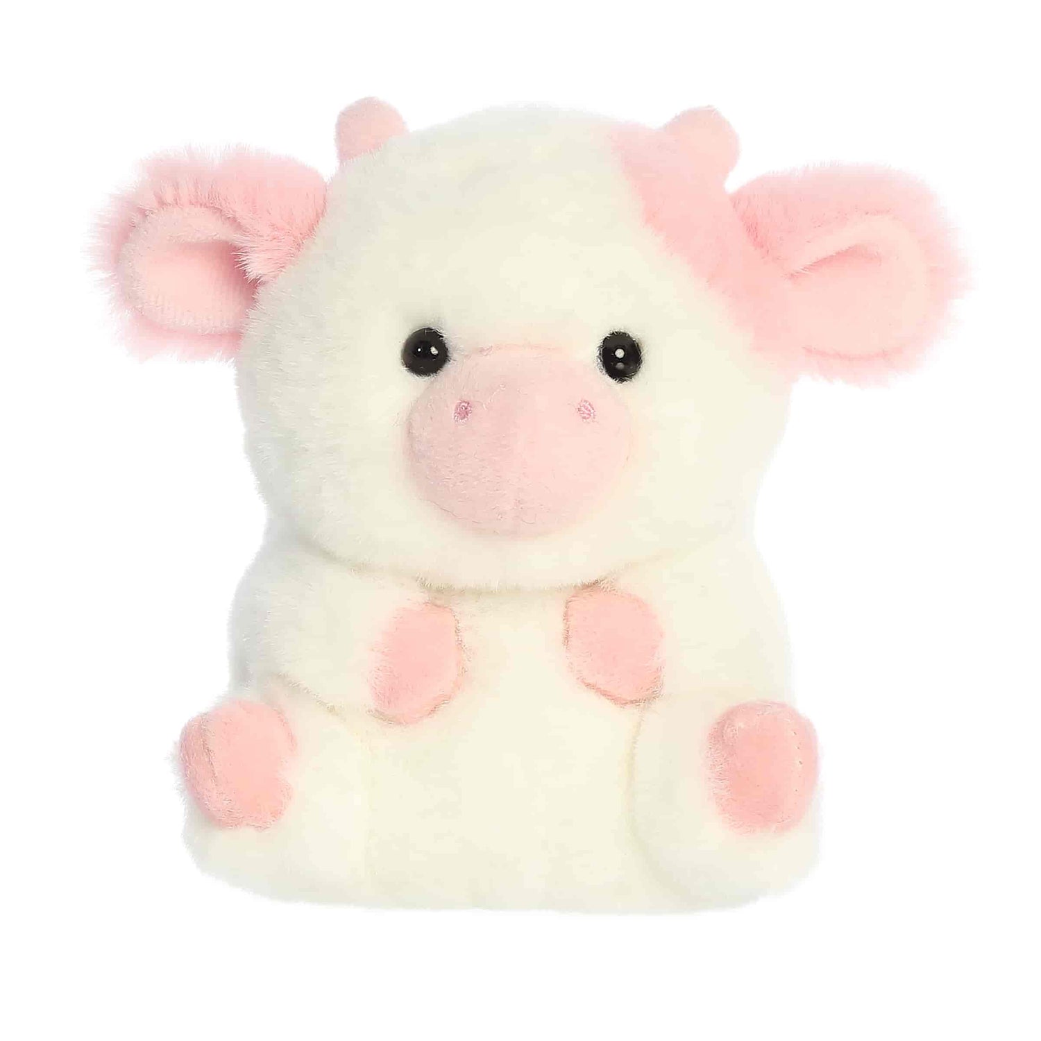 '- Rolly Pet - 5
