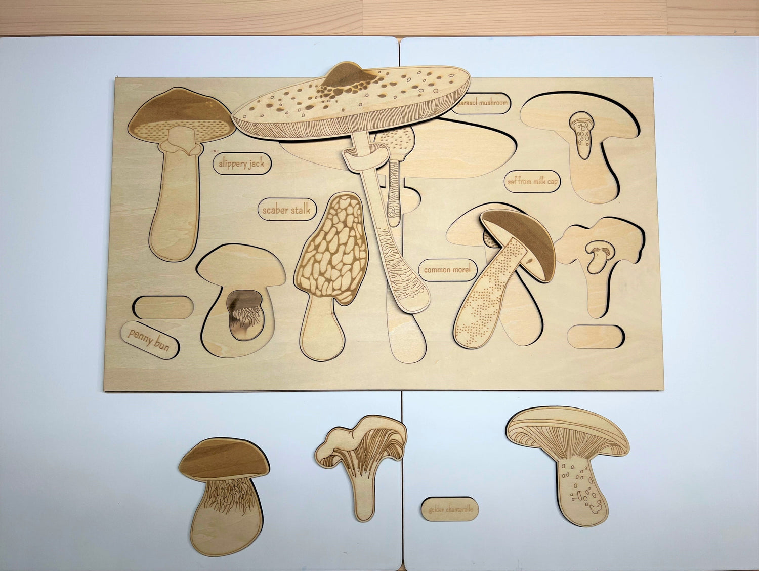 Educational Multi-Layered Wooden Puzzle