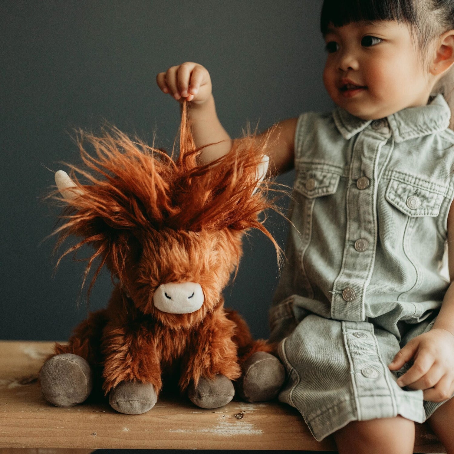 Hamish the Highland Cow 10 Inches