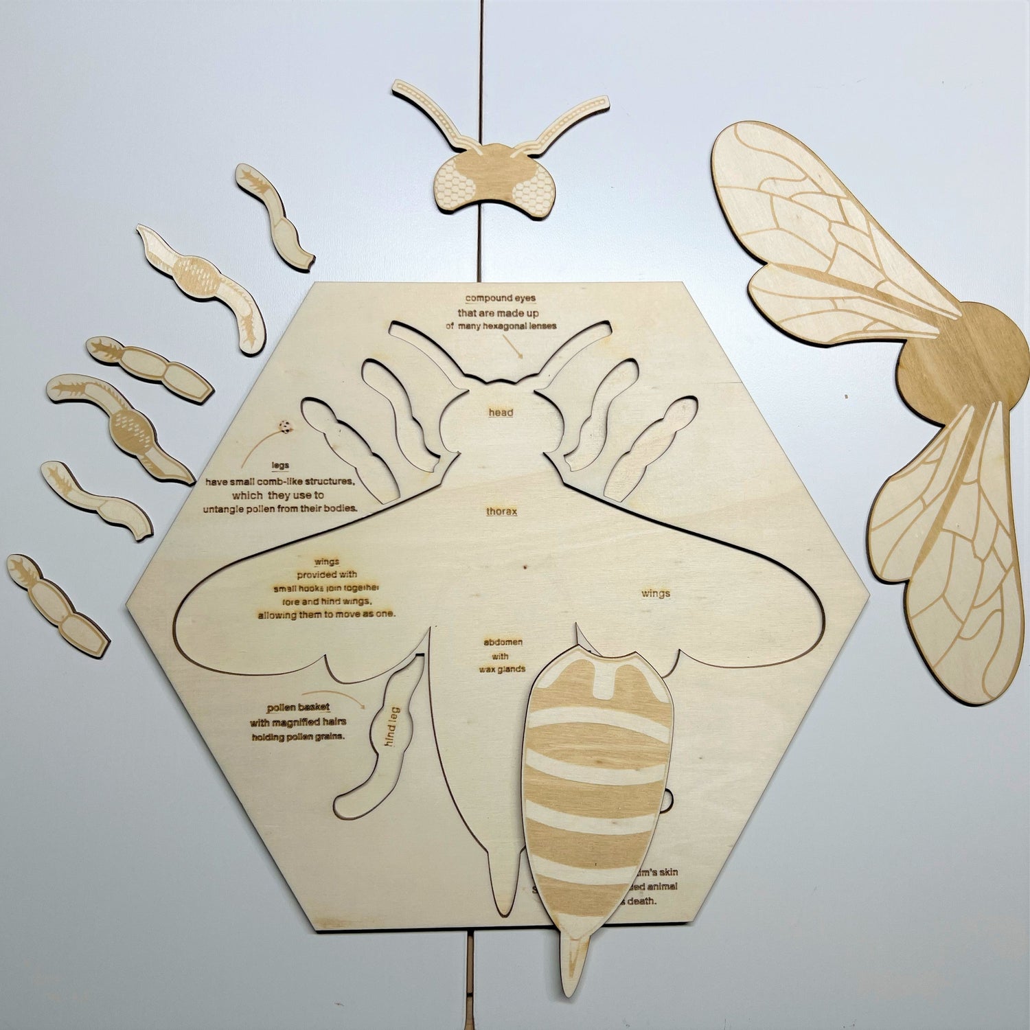 Educational Multi-Layered Wooden Puzzle