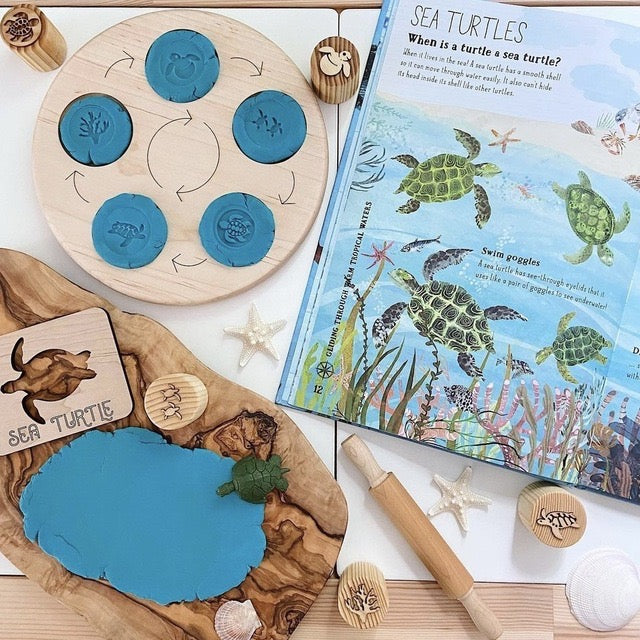 Double-Sided Wooden Life Cycle Board