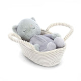 Kitten Plush Toy with Basket - Waydiy